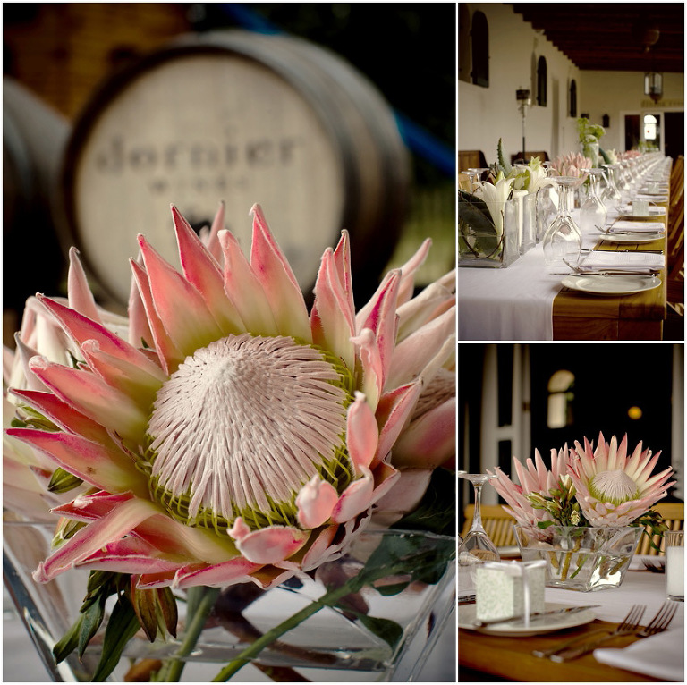 Dornier Wedding Photos