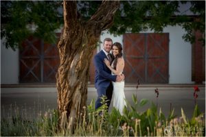 Warm Karoo Wedding Photos