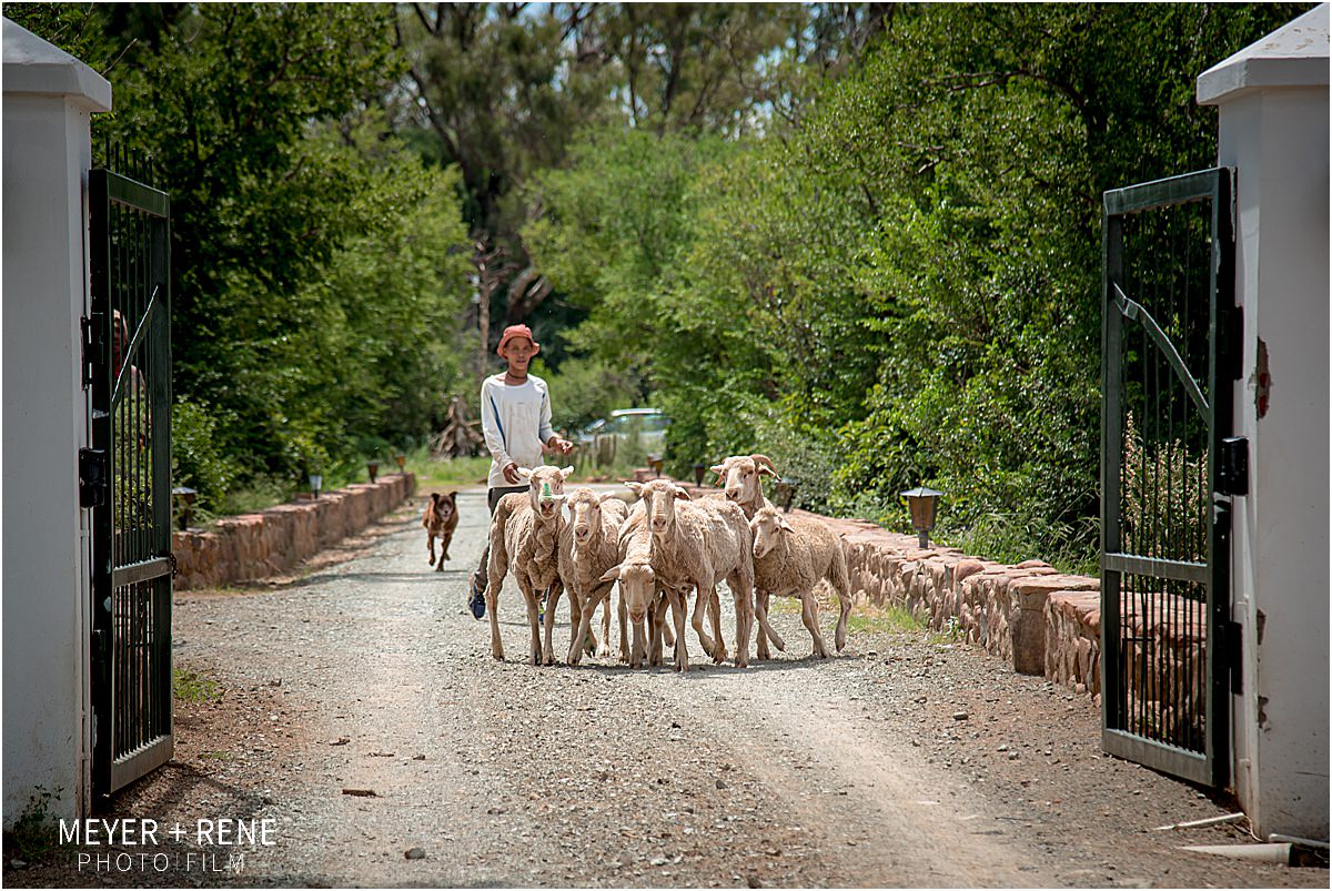 De Oude Kraal Bloemfontein Wedding Photographers