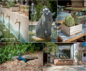 De Oude Kraal Bloemfontein Wedding Photographers