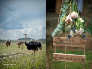 De Oude Kraal Bloemfontein Wedding Photographers