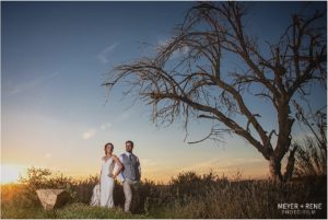 Pepper Tree Wedding photos